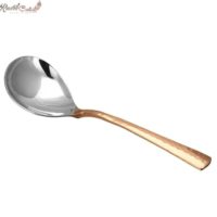 Copper Steel Serving Spoon